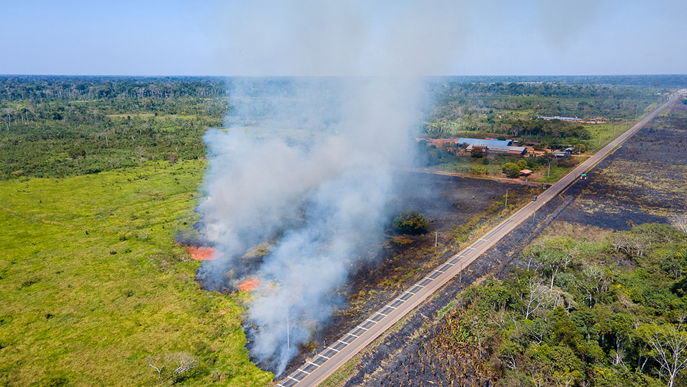 Punto de no retorno. Incendio y deforestación