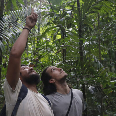 Censando grandes árboles en el bosque amazónico