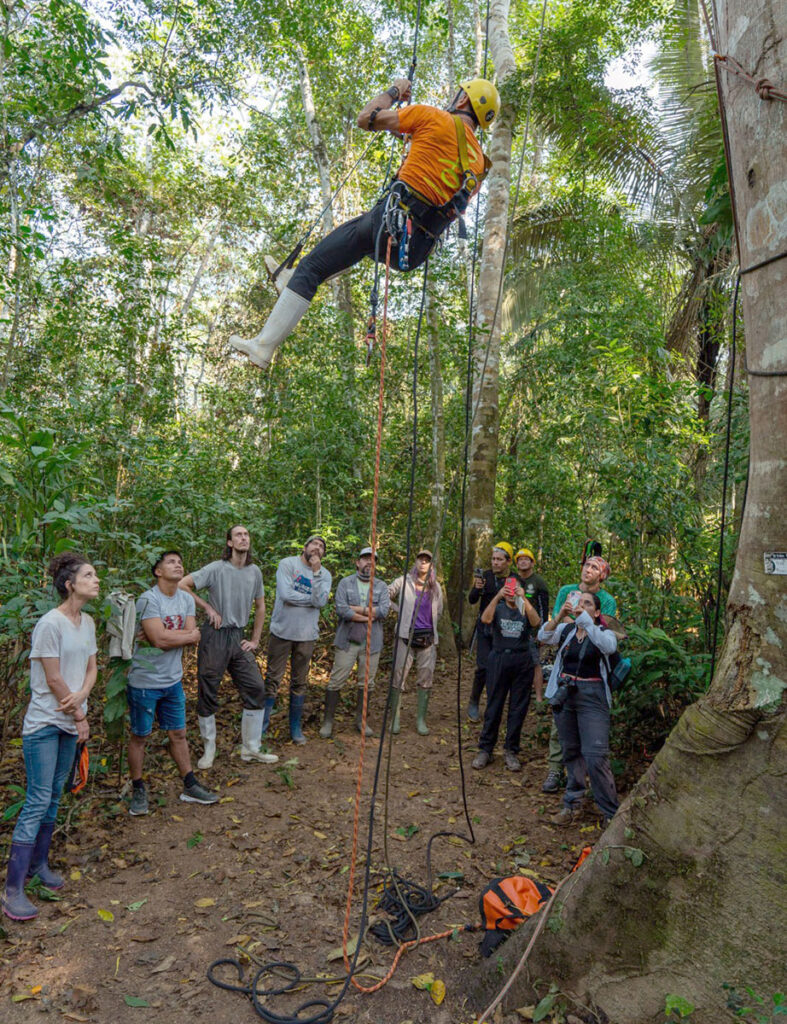 Aprendiendo sobre escalada de grandes árboles