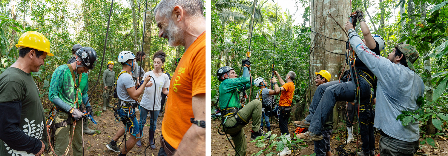 Desde Italia, escalando el bosque Amazónico