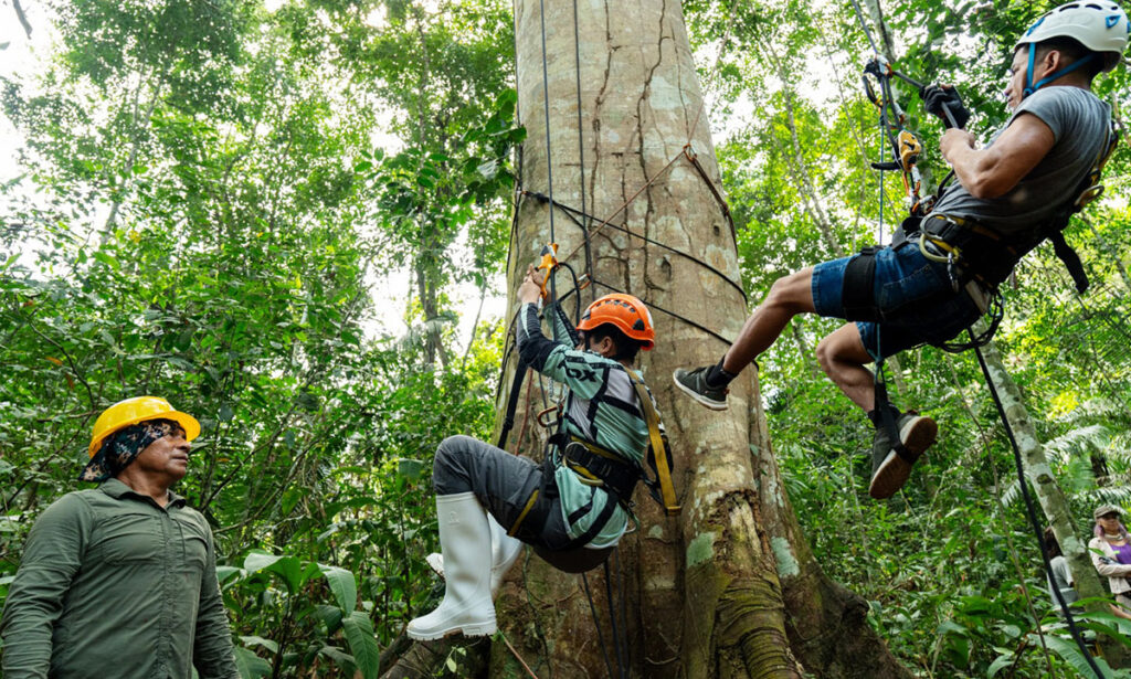 Escalando el bosque Amazónico