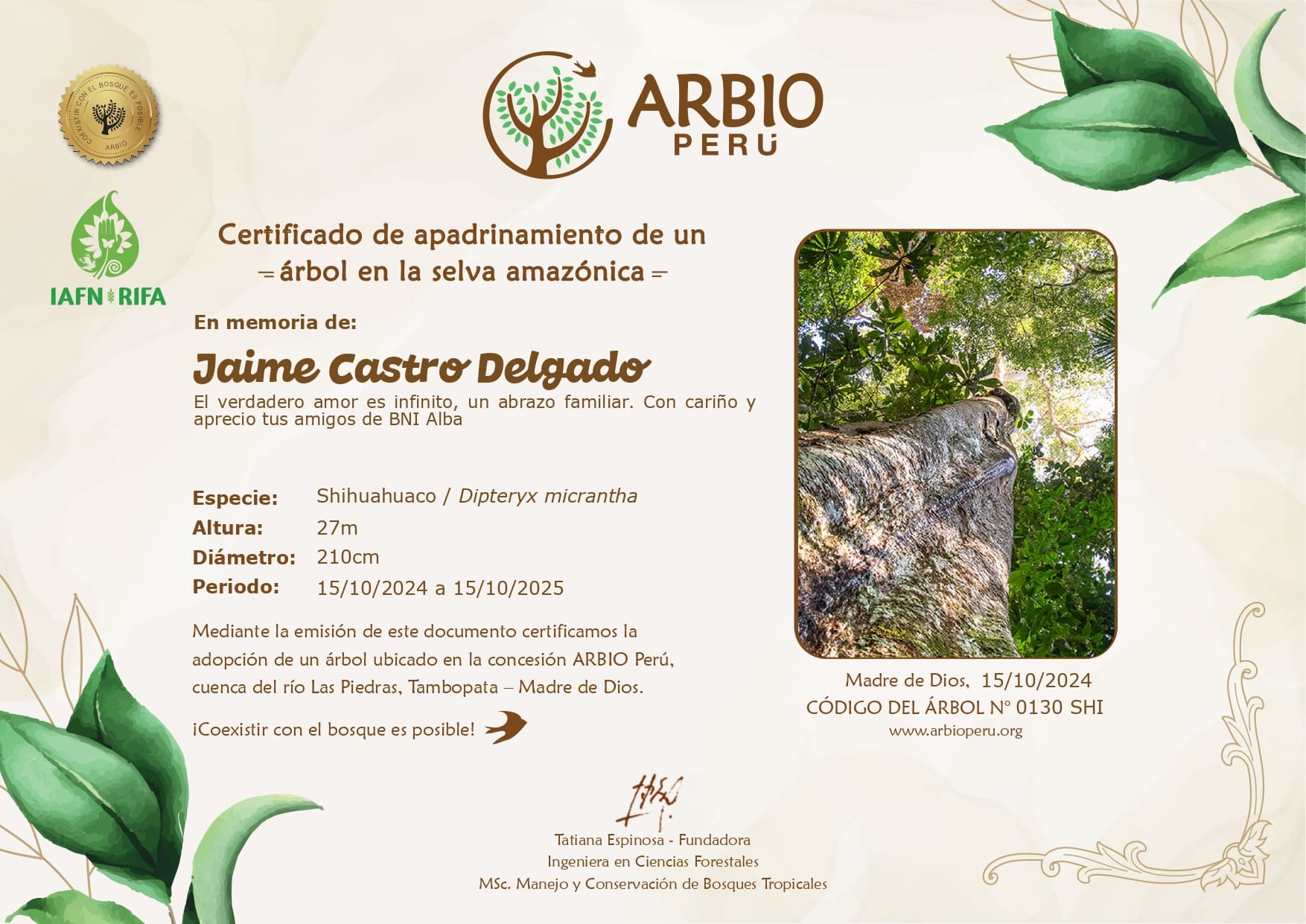 Certificado árbol en memoria