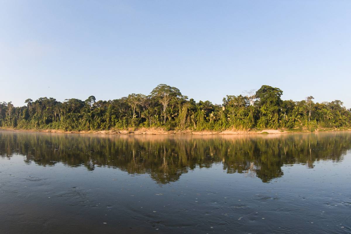 Día de la educación ambiental